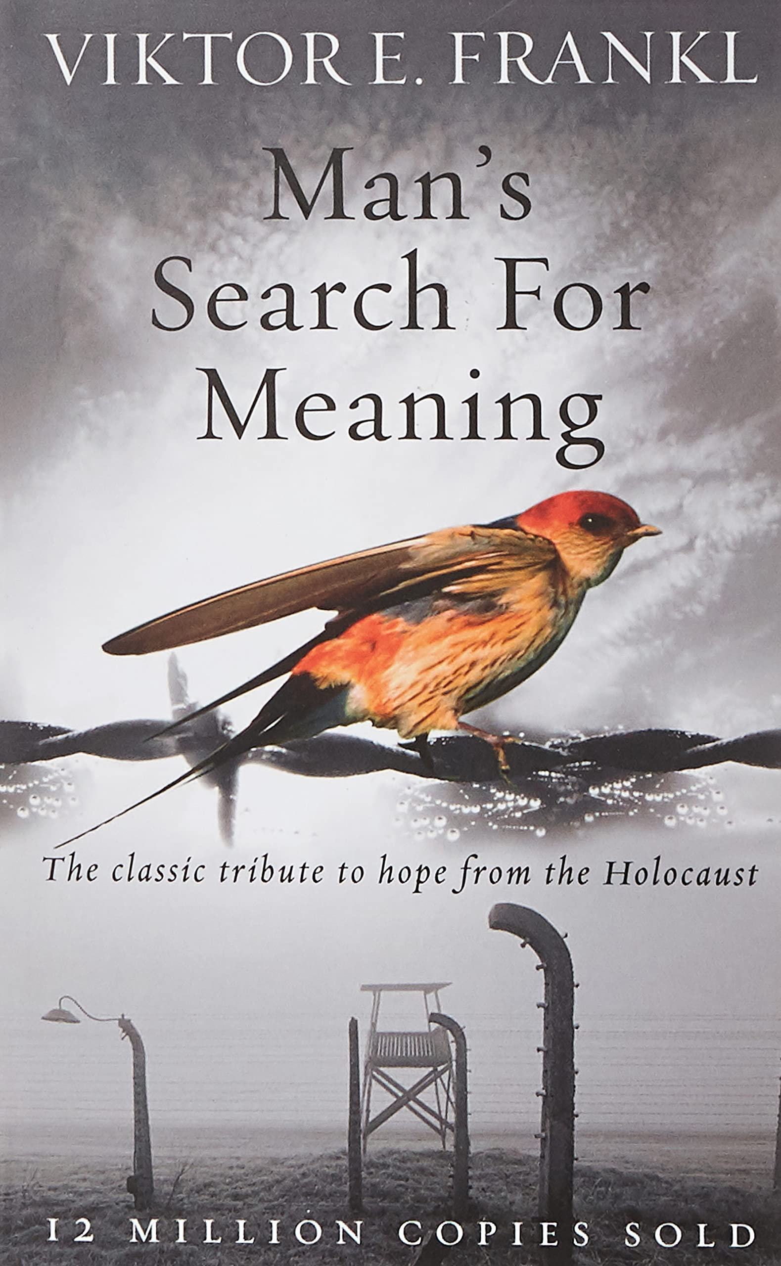 Man's Search For Meaning : The classic tribute to hope from the Holocaust book by Viktor E. Frankl