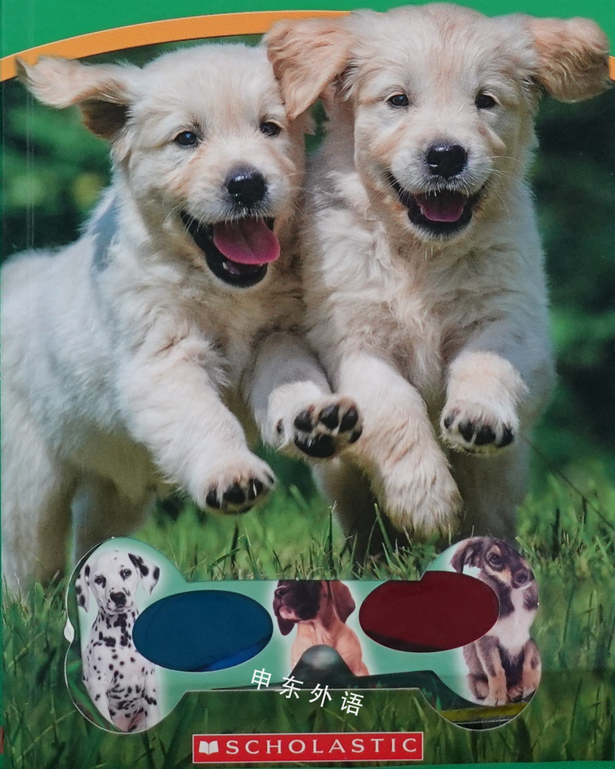 Puppies book by Lisa Regan